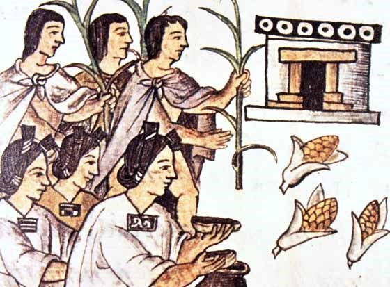 La Cultura del Maíz