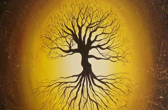 armonía raíces y ramas