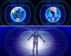 terapia Campos magneticos pulsantes