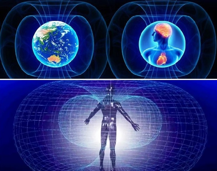terapia Campos magneticos pulsantes